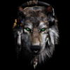 59a9cb wolf avatar 1